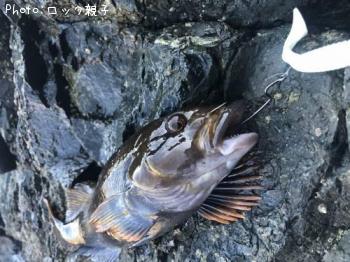 �����ʥ�