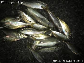 ¥¢¥¸¡¢¥à¥Ä