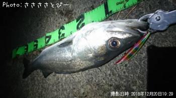 �����Х�