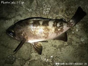 ��Х롢����