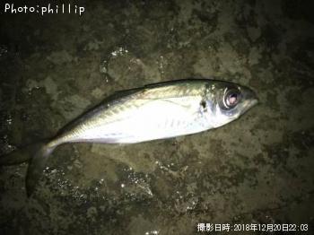 ��Х롢����