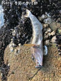 �����ʥ�