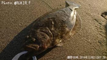 �ҥ��ʥ�����