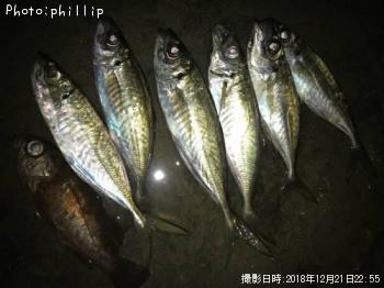 ��������Х�