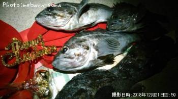 ���󥿥�������