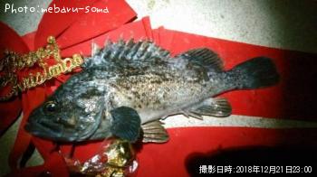 ���󥿥�������