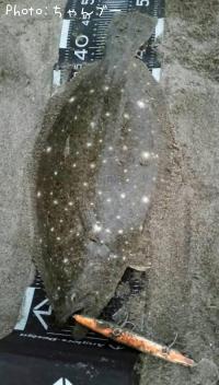 �ҥ��