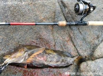 �����ʥ�