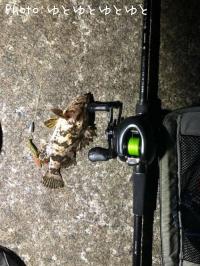 �����Υ���Х�