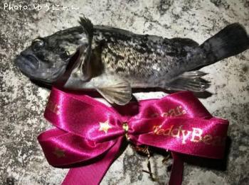 ���󥿥�������