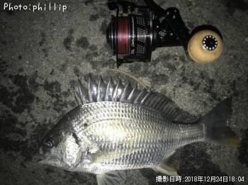 ��꡼���ӥ�ޥ���