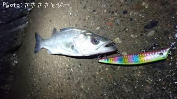 �����Х�