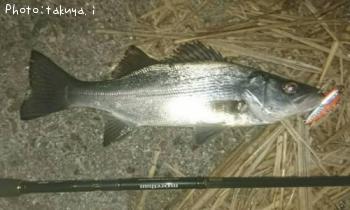 �ҥ饹����