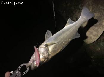 �����Х�