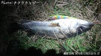 �����Х�