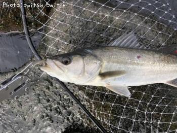 �����Х�