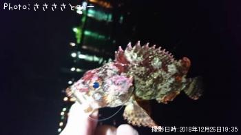 ¥½¥¤¡õ¥á¥Ð¥ë