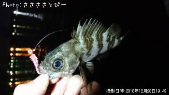 ¥½¥¤¡õ¥á¥Ð¥ë