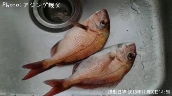 �ޥ���