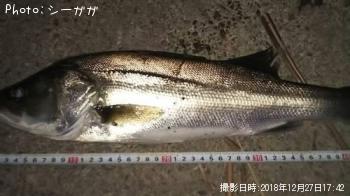 �����Х�