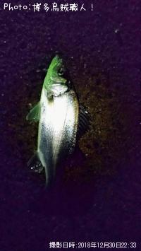 ¥Ò¥é¥»¥¤¥´