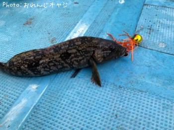 �����ʥ�