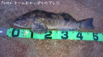 �����ʥ�