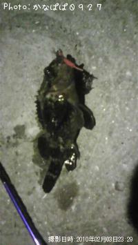 �����Υ���Х�