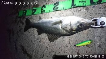 �����Х�����Х�