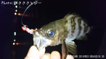 �����Х�����Х�