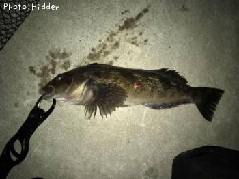 �����ʥ�