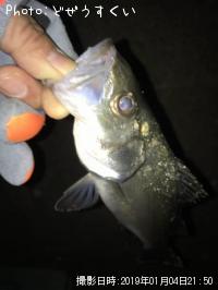 �����Х��ʥҥ饻������