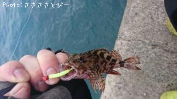 ���������������ե�