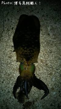 �����ꥤ��