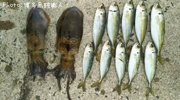 �����ꥤ��