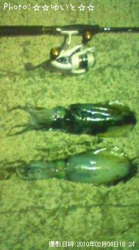 �����ꥤ��