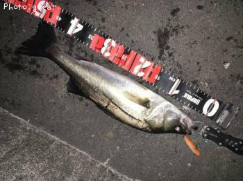 �����Х�