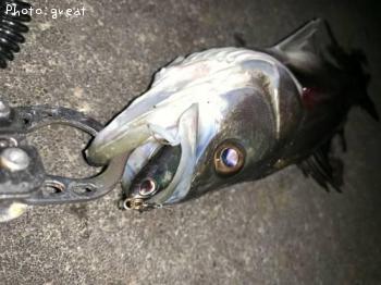 �����Х�