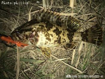 ¥¿¥±¥Î¥³¥á¥Ð¥ë