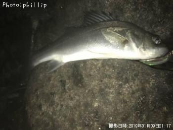 �����Х�