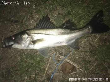 �����Х�