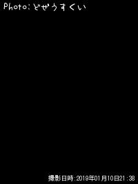 ¥·¡¼¥Ð¥¹¡Ê¥Ò¥é¥»¥¤¥´¡Ë