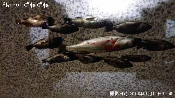 ��Х�ȥ����Х�