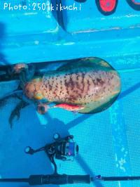 �����ꥤ��