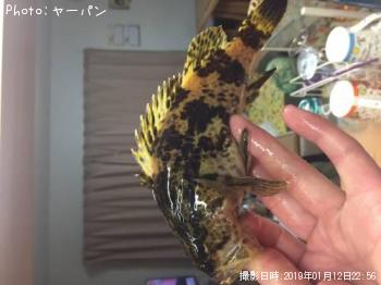 �����Υ���Х�