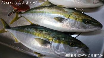 ¥¤¥Ê¥À¡õ¥Û¥¦¥Ü¥¦¡¡