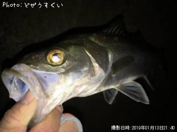 �����Х��ʥҥ饻������