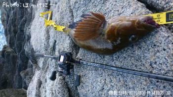 �����ʥ�