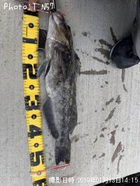 �����ʥ�