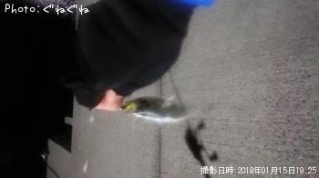 ����